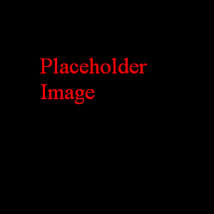 /Jaysyn/PRC8/raw/commit/e292e8c2a96352829802f152e3b11426feb0e24c/nwn/nwnprc/trunk/DevNotes/Vault%20interview/Day1/placeholder.bmp
